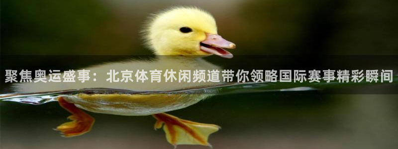 聚焦奥运盛事：北京体育休闲频道带你领略国际赛事精彩瞬间