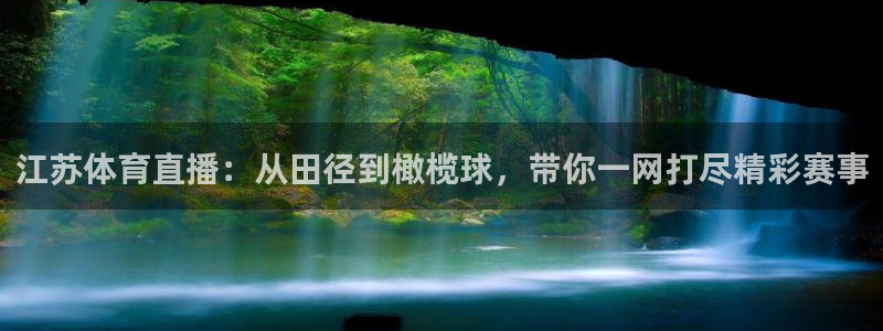 江苏体育直播：从田径到橄榄球，带你一网打尽精彩赛事