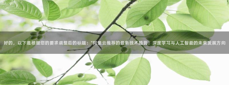 好的，以下是根据您的要求调整后的标题：\