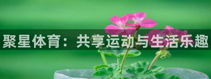 聚星体育：共享运动与生活乐趣