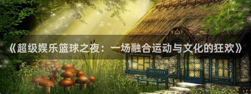 《超级娱乐篮球之夜：一场融合运动与文化的狂欢》