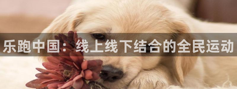 乐跑中国：线上线下结合的全民运动