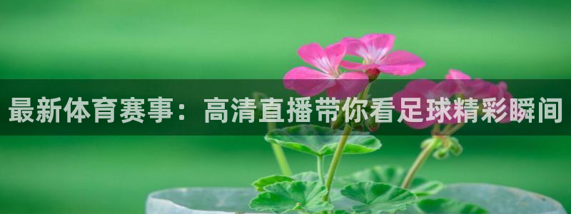 最新体育赛事：高清直播带你看足球精彩瞬间