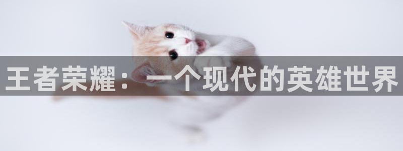 王者荣耀：一个现代的英雄世界
