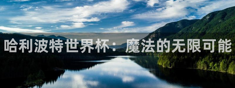 哈利波特世界杯：魔法的无限可能