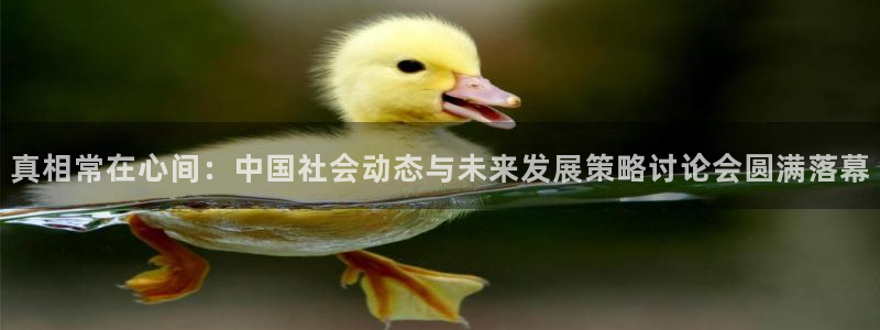 真相常在心间：中国社会动态与未来发展策略讨论会圆满落幕