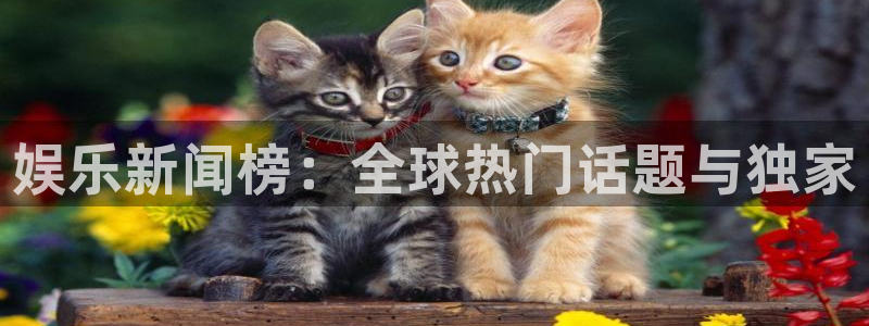 娱乐新闻榜：全球热门话题与独家