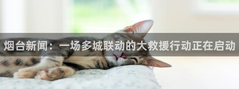 烟台新闻：一场多城联动的大救援行动正在启动