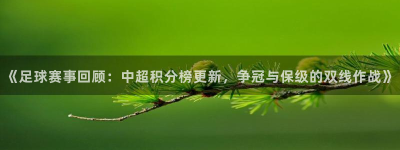 《足球赛事回顾：中超积分榜更新，争冠与保级的双线作战》