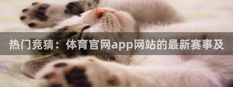 热门竞猜：体育官网app网站的最新赛事及