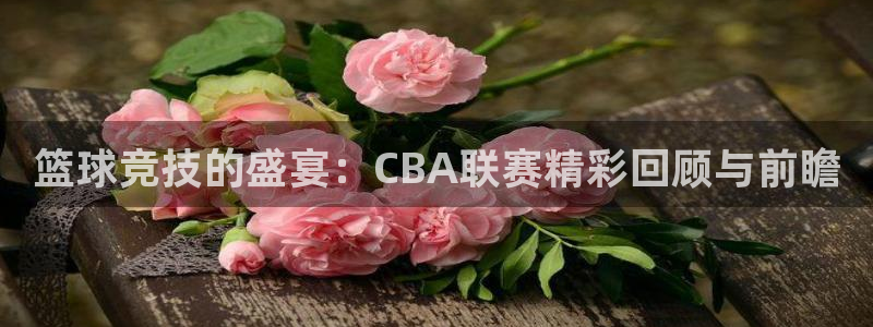 篮球竞技的盛宴：CBA联赛精彩回顾与前瞻