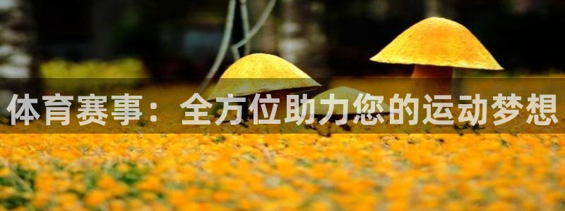 体育赛事：全方位助力您的运动梦想