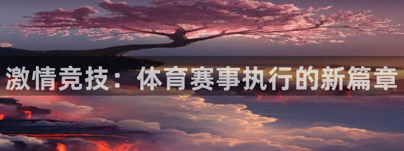 激情竞技：体育赛事执行的新篇章