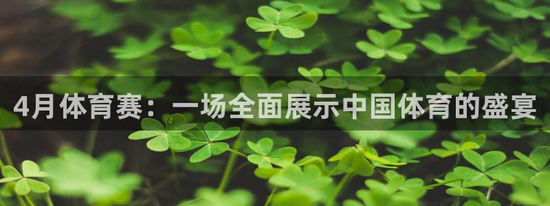 4月体育赛：一场全面展示中国体育的盛宴