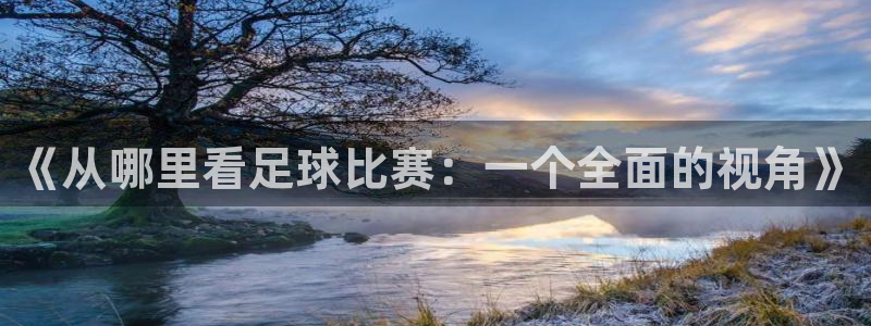 《从哪里看足球比赛：一个全面的视角》