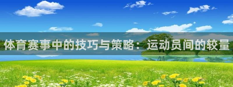 体育赛事中的技巧与策略：运动员间的较量