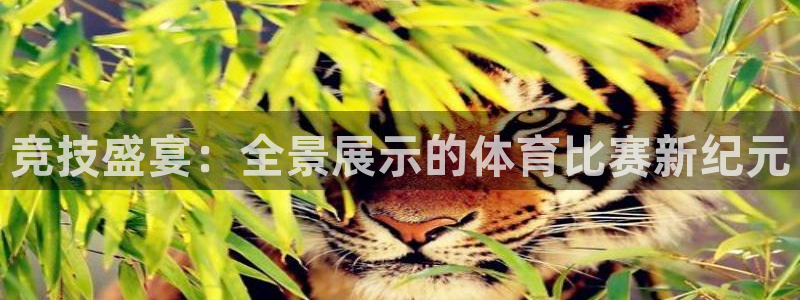 竞技盛宴：全景展示的体育比赛新纪元