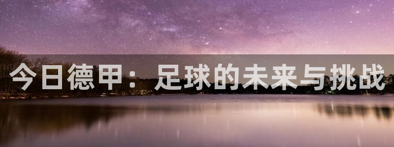 今日德甲：足球的未来与挑战