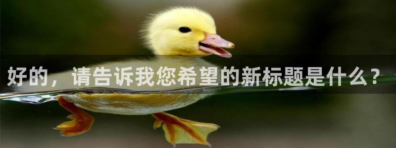 好的，请告诉我您希望的新标题是什么？