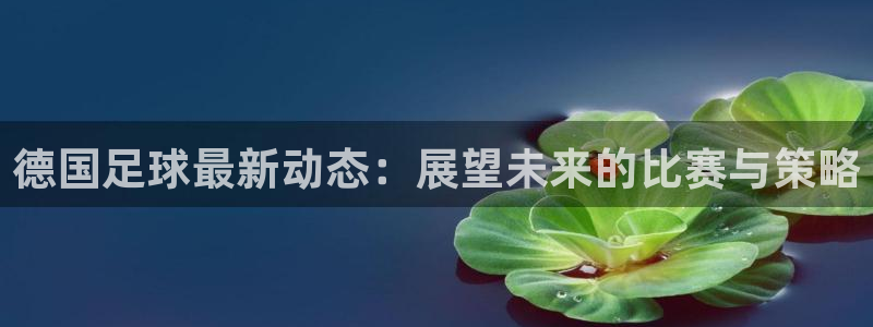 德国足球最新动态：展望未来的比赛与策略