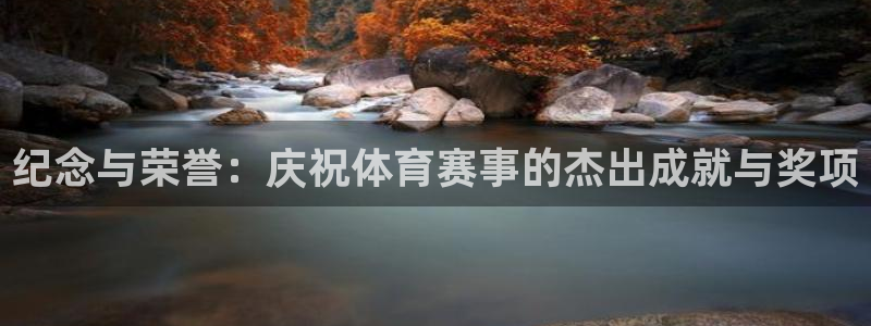 纪念与荣誉：庆祝体育赛事的杰出成就与奖项