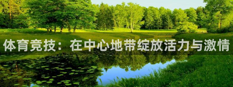 体育竞技：在中心地带绽放活力与激情