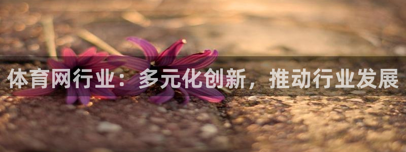 体育网行业：多元化创新，推动行业发展