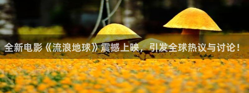 全新电影《流浪地球》震撼上映，引发全球热议与讨论！