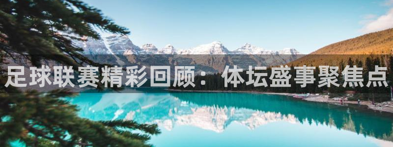 足球联赛精彩回顾：体坛盛事聚焦点